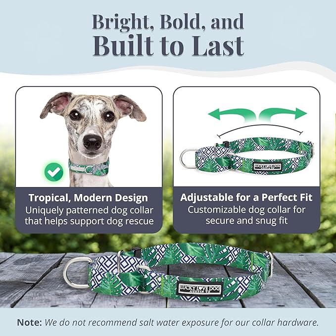 Lucky Love Dog Martingale Collar, Premium No Slip Martingale Collar for Medium Boy Dogs, Great for Whippets, Greyhounds, and More (Medium, Blue Laguna)