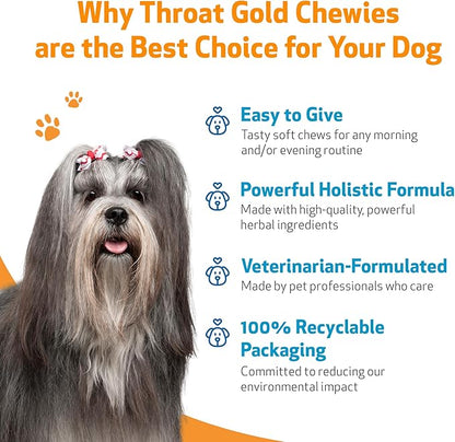 Pet Wellbeing Throat Gold Chewies for Dogs - Vet-Formulated Upper Respiratory Support - Convenient Chewies for Throat Comfort & Occasional Cough - Holistic Herbal Dog Supplement - 90 Count