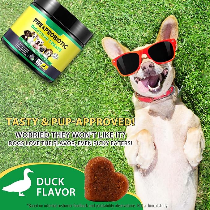 Dog Probiotic Chews, Duck Flavor Chewable Tablets for Dogs, Gut Health & Digestive Support with Probiotics & Prebiotics, Helps with Occasional Loose Stool, Gas & Sensitive Stomach, for All Breeds