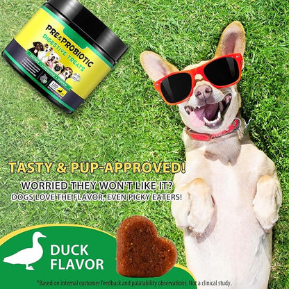 Dog Probiotic Chews, Duck Flavor Chewable Tablets for Dogs, Gut Health & Digestive Support with Probiotics & Prebiotics, Helps with Occasional Loose Stool, Gas & Sensitive Stomach, for All Breeds