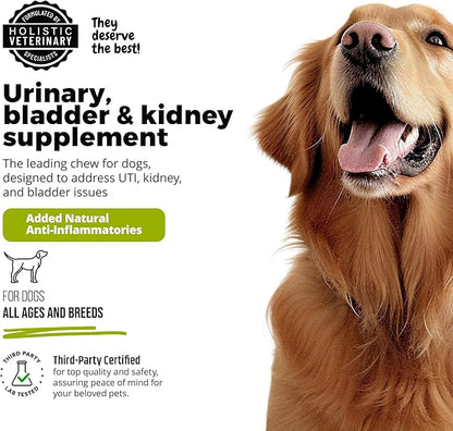 UroMAXX Dog Urinary Tract Infection Treatment, Bladder & Kidney Support for Dogs, Powerful Pet Care, Natural Soft Chews with Cranberry & Glucosamine, Made in The USA, Chicken Flavor, 90 Count, 2 Pack