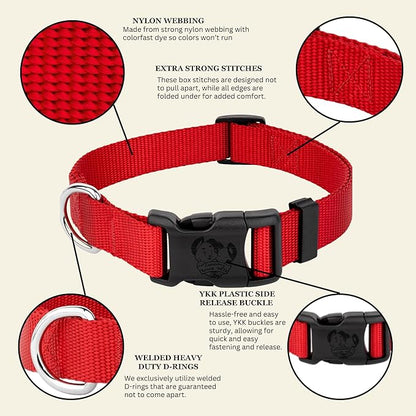 Country Brook Petz - Everyday Nylon Dog Collar for Large, Medium, and Small Dogs and Puppies - for Everyday Use in 10+ Warm Colors (Extra Large, 1 Inch Wide, Bright Red)