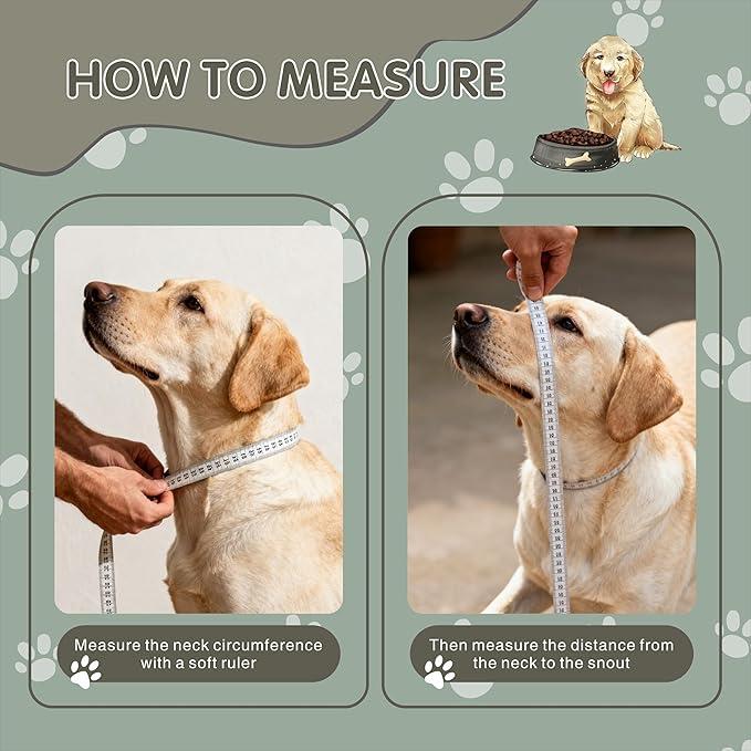 Inflatable Dog Cone with Transparent Shield, Protective Dog Donut Collar After Surgery Soft Donut Cone for Dogs, Gray, XL