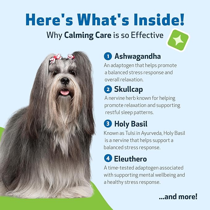 Pet Wellbeing Calming Care for Dogs - Vet-Formulated Holistic Behavior Support - Emotional Balance, Stress Care - Ashwagandha & Holy Basil Adaptogen Blend - Liquid Supplement 2 oz (59ml)