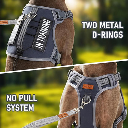 AUNZO Service Dog Vest Harness with 2 Velcro Patches, No Pull Dog Harness for Walking Training Hiking, Metal D-Rings Easy on/Off Neck Buckle Reflective Strips Soft Padded Handle, Gray