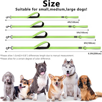 Dog Leash 5ft Long, Double Handle Dog Leash for Safety Control Training, Heavy Duty Dog Leads with Traffic Padded Handles, Reflective Leashes for Small Medium Large Dogs(5ft, Green)