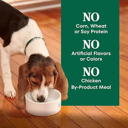 Nutro Natural Choice Dry Dog Food Large Breed, Puppy Food Dry Recipe, Chicken and Brown Rice Recipe, 30 lbs.