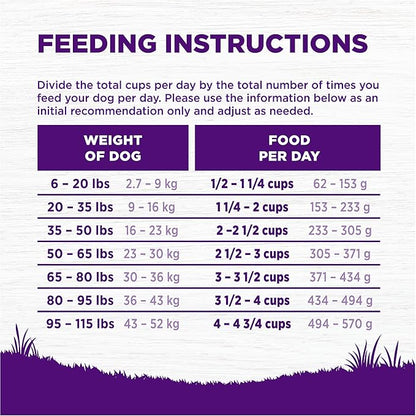 Wellness Complete Health Dry Dog Food, Wholesome Grains, Natural, Chicken & Oatmeal Recipe, (15-Pound Bag)