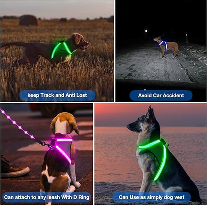 ChalkLit Light Up Dog Harness, No Pull Led Dog Harness Glow-in-The-Dark for Night Walking, USB Rechargeable Lighted Safety Vest for Medium Large Dogs, Adjustable Soft Mesh Fully Illuminated (Blue, L)