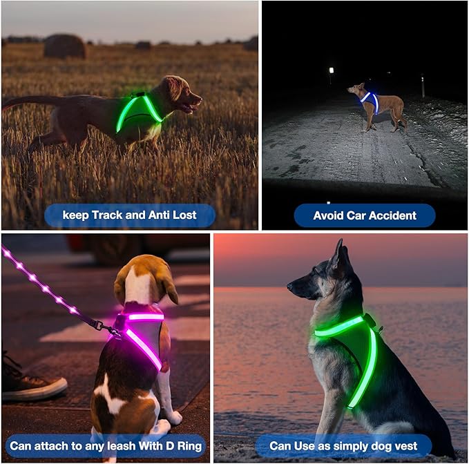 ChalkLit Light Up Dog Harness, No Pull Led Dog Harness Glow-in-The-Dark for Night Walking, USB Rechargeable Lighted Safety Vest for Medium Large Dogs, Adjustable Soft Mesh Fully Illuminated (Blue, M)