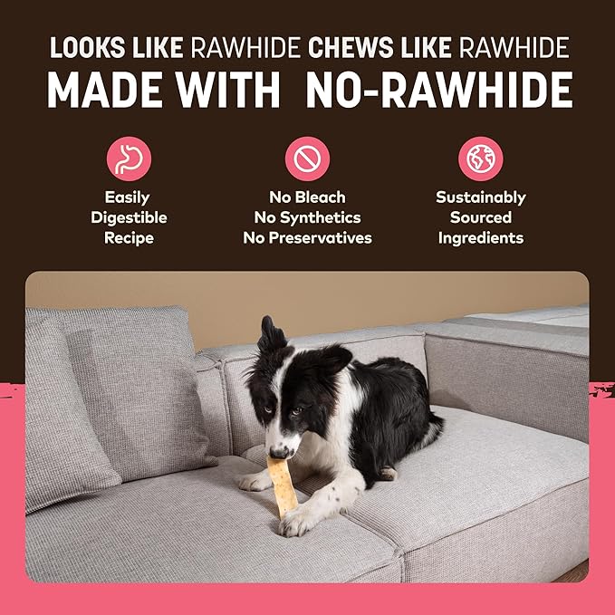 Earth Animal No Hide Strips - Natural Rawhide Free Dog Chew Strips, Salmon - 4 Count