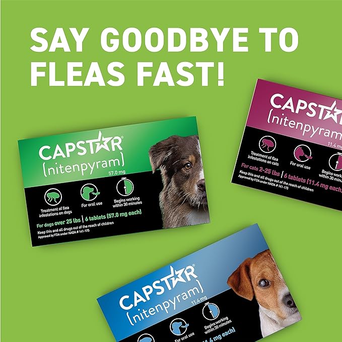 Capstar for Dogs (nitenpyram), Fast-Acting Oral Flea Treatment for Dogs Over 25+ lbs, Vet-Recommended Flea Medication Tablets Start Killing in 30 Minutes, 12 Doses (Includes Two 6-Count Boxes)