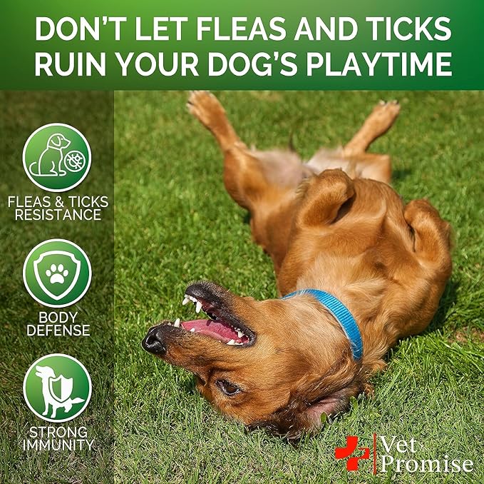 (2 Pack) Flea and Tick Prevention for Dogs Chewables - All Natural Flea & Tick Control Chews - Oral Pills for Dogs Supplement - All Breeds and Ages - Made in USA - 240 Chews