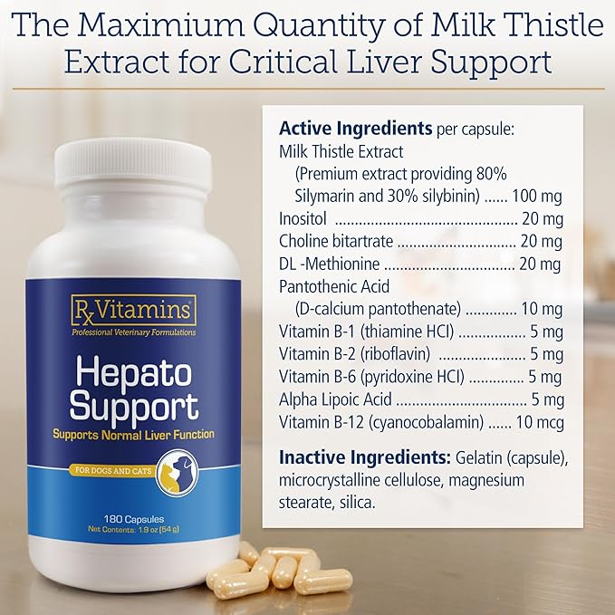 Rx Vitamins Hepato Support for Dogs & Cats - Liver Support Supplement with Milk Thistle for Dogs and Cats - Hepatic Dog Supplement Enriched with Vitamin B Complex - 180 Capsules