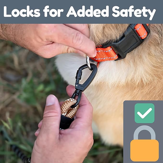 6 Foot Dog Leash, Two Extra Padded Handles, Locking Carabiner Clip, Reflective for Night Visibility, Weatherproof, Heavy Duty Rope Leash, Roam Gear (Brown)