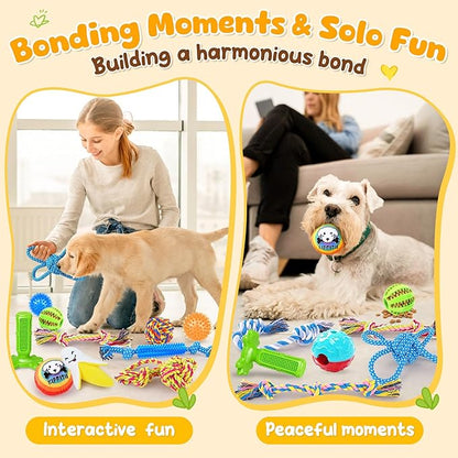 KIPRITII 25 Pack Dog Toys Set – Ideal for Teething, Entertainment & Interactive Play, Includes Puppy Toys, Rope Toys, Treat Balls and Squeaky Dog Toys