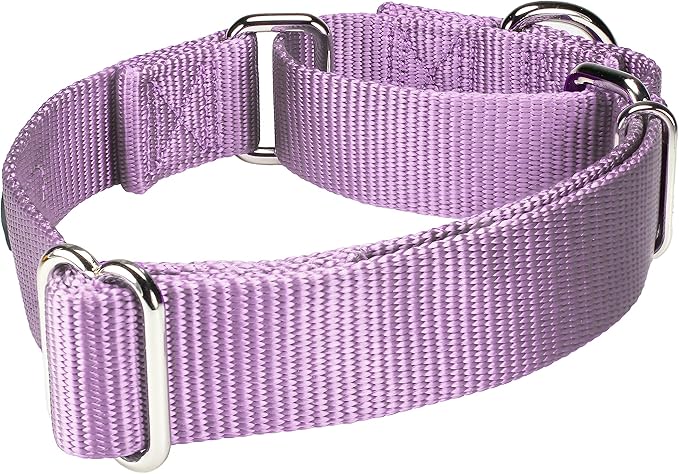 Mikivery Martingale Dog Collar Nylon Adjustable and Safety Training Metal Buckle Dogs Collars for Small Medium and Large Breed(Violet,M)