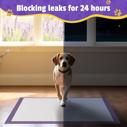 Lavender Scented Super Absorbent & Leak-Proof Puppy Pads, 30"x36" Odor Control Pet Training Dog Pee Pads, Thicken Quick Dry Pee Pads, Potty Training Pads for Dogs Cats