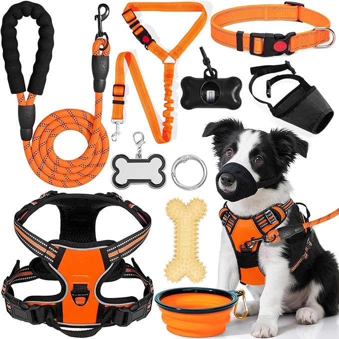 No Pull Dog Harness Adjustable Collar & Leash Set - Dog Halter Harnesses Collapsible Bowls & Poop Bag Dispenser Muzzle ID Tags Toys Fits Small Medium Large Dogs (Orange-M)