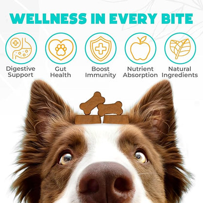 Probiotics for Dogs Chews - 60 pcs - Digestive & Gut Health Support - Probiotic Chews for Dogs with Enzymes & Natural Ingredients - US Formula - Beef Flavored