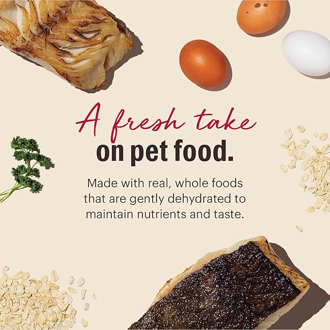 The Honest Kitchen Human Grade Wholemade™ Dehydrated Dog Food, Whole Grain Dog Food, Fish & Oats, 4 lb (Makes 16lbs)