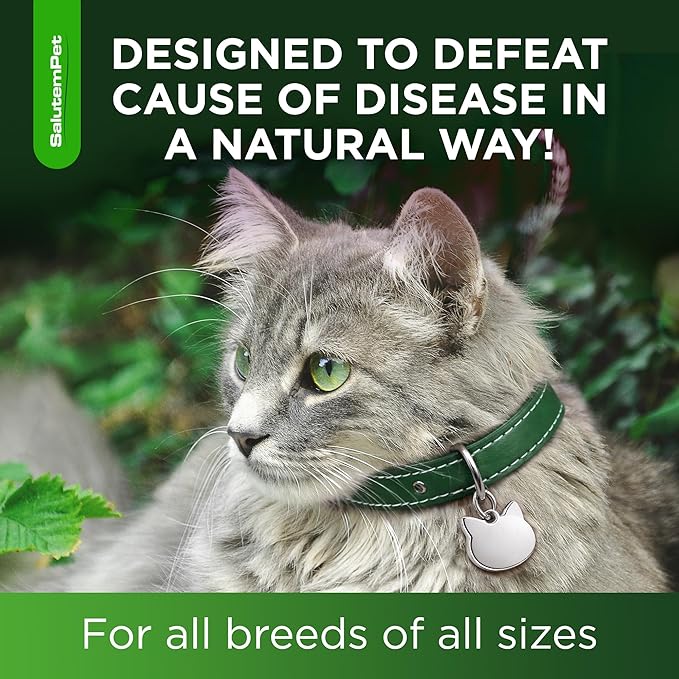 Cat Antibiotic in Drops – Natural Antibiotics for Cats with Chicken Flavor Help with UTI, Cough, Allergies – Safe for Pets and Breeds – 2-oz Bottle with a Pendant Included