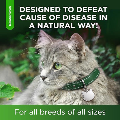 Cat Antibiotic in Drops – Natural Antibiotics for Cats with Chicken Flavor Help with UTI, Cough, Allergies – Safe for Pets and Breeds – 2-oz Bottle with a Pendant Included
