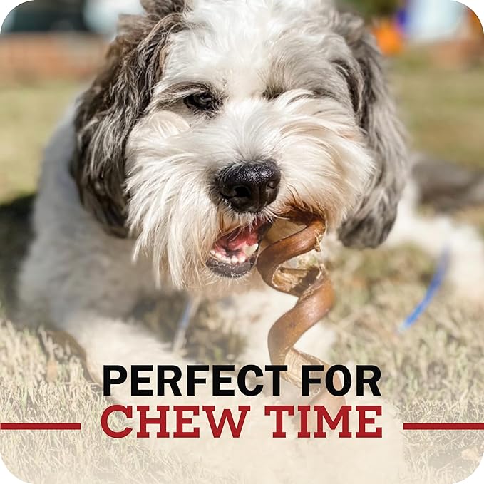 Redbarn Pet Products 12" Bully Sticks Pet Chew Treat, 2-Count, Pack of 18