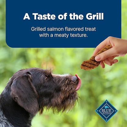 Blue Buffalo Nudges Grillers Natural Dog Treats, Made in The USA with Real Salmon, 16-oz. Bag
