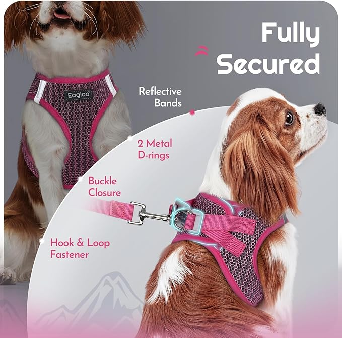 Eagloo Small Dog Harness and Leash Set, Step in Puppy Vest with Breathable Soft Mesh, Walking Reflective Pet Harness for Medium Small Dogs, Rose Red, M