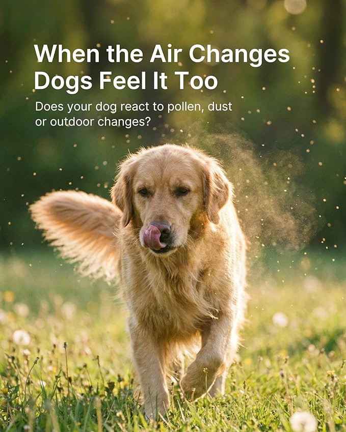 Dog Allergy Relief Chews Allergy & Immune Support for Dogs, Seasonal Allergy Support, Supports Immune Balance & Skin Comfort, Gut Health Soft Chews