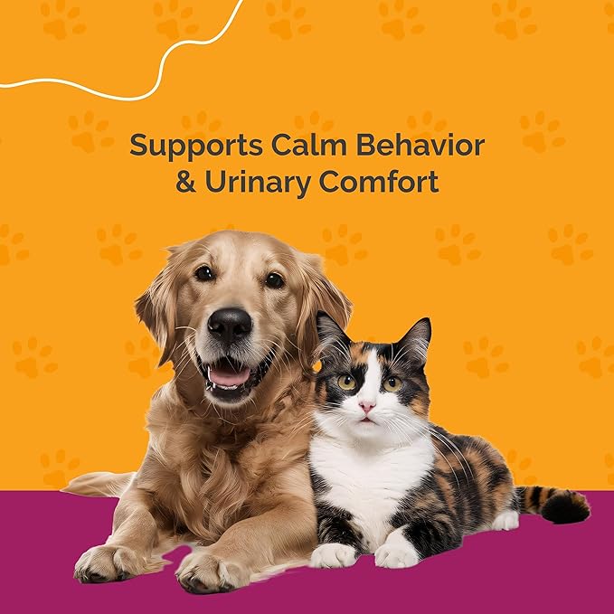 Urinary Tract Infection Care for Cat & Dog | Calming Urinary Tract & Kidney Support for Pets | Bladder Infection Treatment | UTI Drops | Veterinarian Recommended