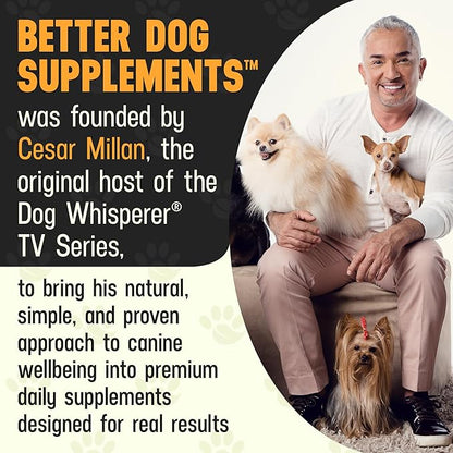 Better Dog Supplements Inner Purity by Cesar Millan – Natural Digestive, Dewormer & Gut Health Powder for Dogs – Internal Cleanliness, Detox & Bowel Movement Support – 3.4oz, (60-Day Supply)