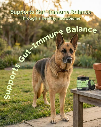 Probiotic Soft Chews for Dogs – Daily Gut & Digestive Support, Spore-Forming Probiotic with Multi-Strain Lactobacillus, Prebiotic Inulin/FOS, Chicken Flavor, 120 Chews