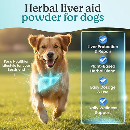 High Potency Liver Support & Detox – Clinical Strength Milk Thistle & Turmeric – TCM Doctor Formulated Powder for High Liver Enzymes (ALT/ALP), Medication Cleanse & Repair – 100g