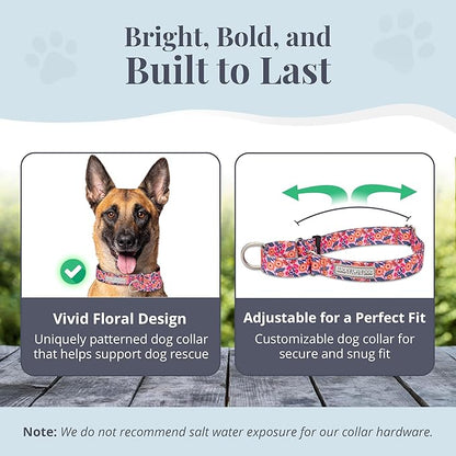 Lucky Love Dog Martingale Dog Collar & Leash - Adjustable, No-Slip, Durable, Comfortable, Soft Webbing, & Stylish Patterned Collar & Leash Set for Male and Female Dogs - Rosie Combo, Large