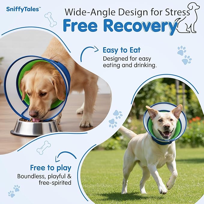 Soft Dog Cone Collar After Surgery – Adjustable Recovery Cone for Medium & Large Dogs – Double-Layer Protective Elizabethan Collar for Wound Protection & Licking Prevention – Comfortable - Blue