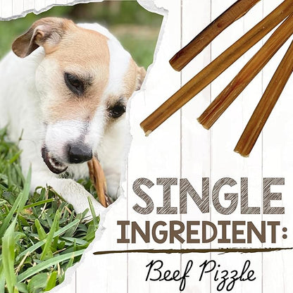 Nature Gnaws Small Bully Sticks for Dogs 5-6" (15 Count) - Long Lasting for Light Chewers and Puppies - Natural Thin Beef Dog Chew Bones - Rawhide Free