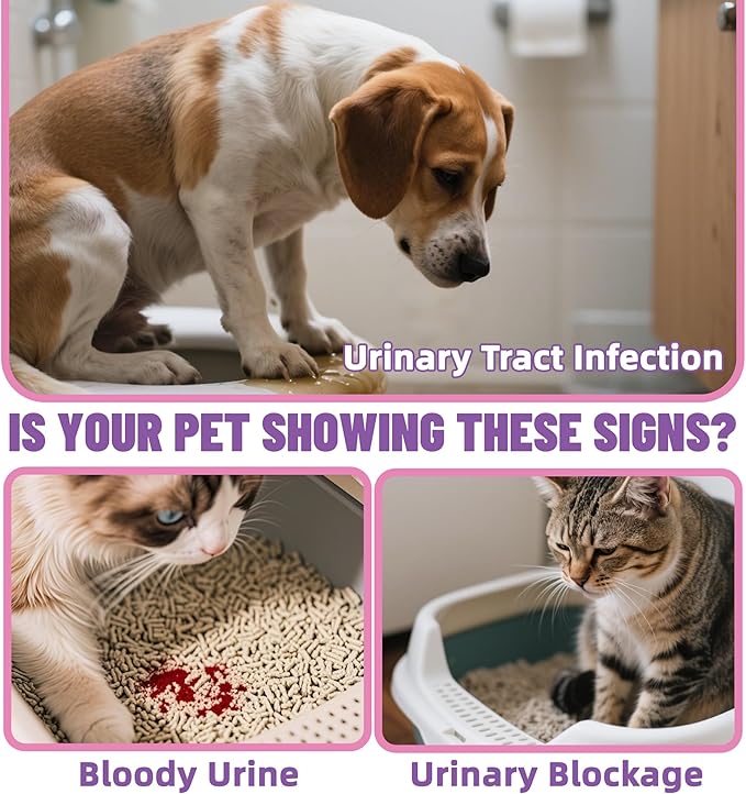 Just Try Berries Powder Dog Cranberry Supplement Urinary Tract for Dogs UTI Cat UTI Remedy Cat Supplements - 7 OZ
