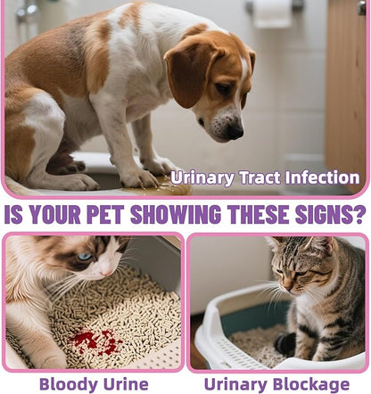 Just Try Berries Powder Dog Cranberry Supplement Urinary Tract for Dogs UTI Cat UTI Remedy Cat Supplements - 7 OZ