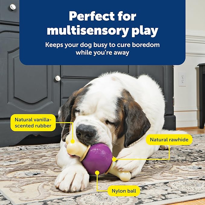 PetSafe Busy Buddy Bouncy Bone - 3-in-1 Adjustable Slow Feeder Toy with Refillable Treat Rings - Cleans Teeth & Gums, Cures Boredom & Slows Down Eating Habits - Large - for Dogs 75+ lb