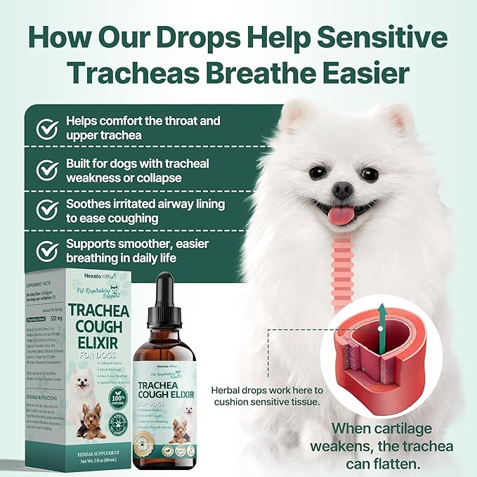 Collapsed Trachea Treatment for Dogs, Trachea Cough Elixir, Dog Cough Treatment –Natural Herbs Respiratory Support, Promotes Throat Comfort and Breathe Smoothly for Honking Cough, Gagging and Wheezing