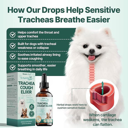 Collapsed Trachea Treatment for Dogs, Trachea Cough Elixir, Dog Cough Treatment –Natural Herbs Respiratory Support, Promotes Throat Comfort and Breathe Smoothly for Honking Cough, Gagging and Wheezing