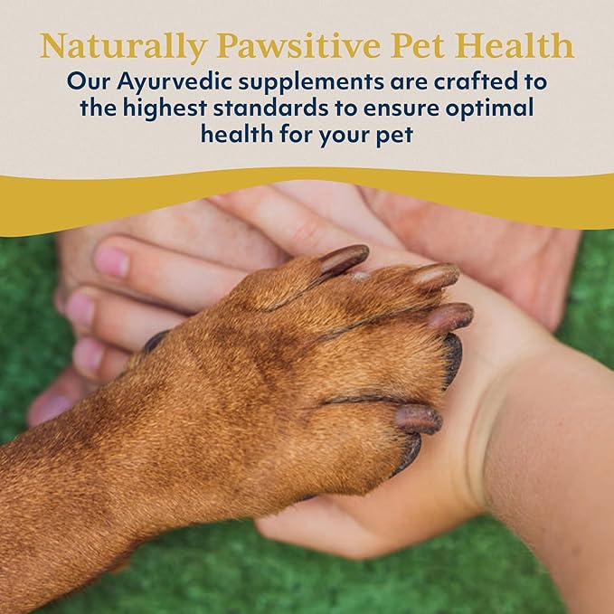 Ayush Pet Rentone - Kidney Support for Dogs & Cats, Liquid Drops for Urinary & Kidney Health, Urinary Health Supplement for Small or Large Pets, Natural Care - 2 fl oz