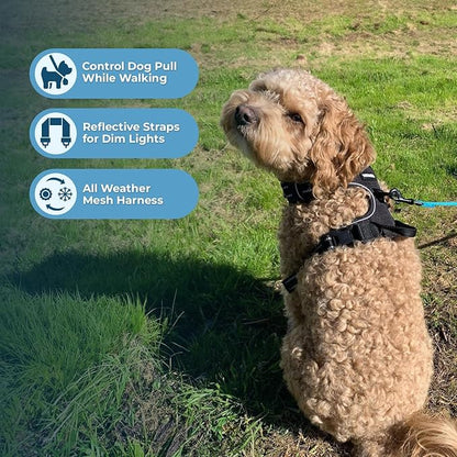 Voyager Dog Harness Dual Leash Attachment No-Pull Control Adjustable Soft but Strong Pet Harness for Medium and Large Dogs with 3M Reflective Technology, Leash Set Black Nylon, M (Chest: 20-25")