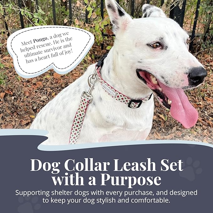 Lucky Love Dog - Easy Click Buckle Dog Collar with Leash Set Combo, Durable & Comfortable for Male & Female Dogs, Pet Collar for Large Dogs, Secure Fit - Pongo Combo, Large