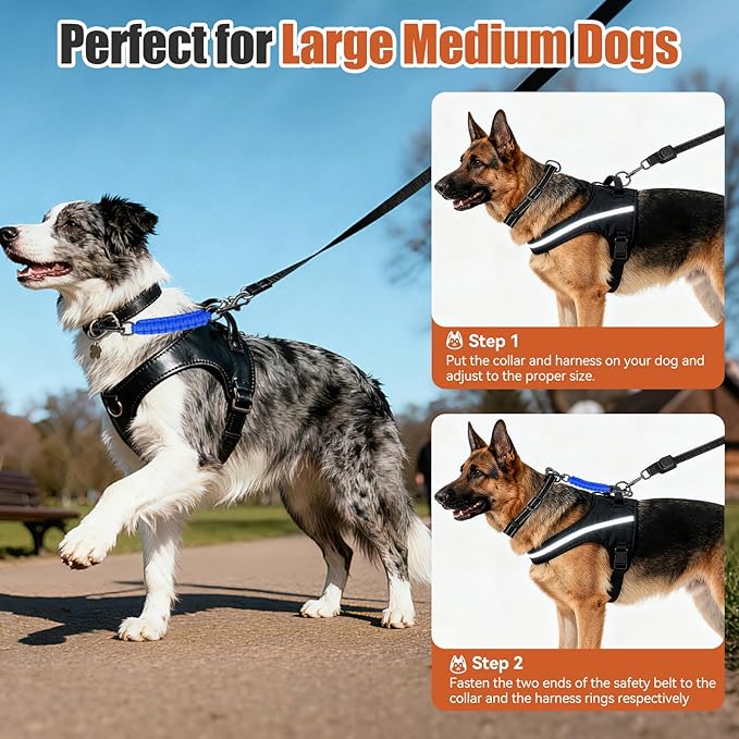Dog Collar Safety Clip with Dual Clasps,Handmade Backup Safety Strap for Dog Harness, Collars and No Pull Harness Connectors (Navy Blue)