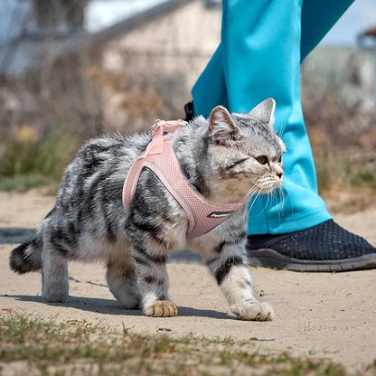 PetiFine Extra Small Step in Dog Harness and Leash Set, Cat Harness and Leash Escape Proof, All Weather Mesh Reflective, Step-in Air Vest Harnesses for Puppy(XXS, Pink)