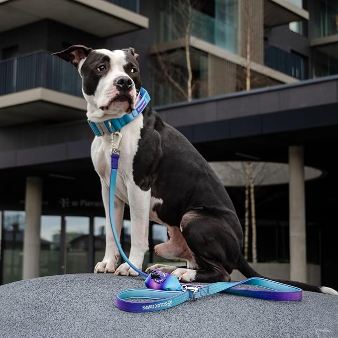 Spark Paws Premium Dog Leash & Poop Bag Set - Heavy-Duty Alloy Hook for Strong Pulling Breeds - Comfortable, Durable & Secure - 90s Retro