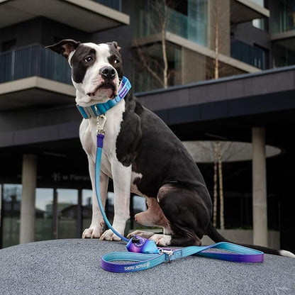 Spark Paws Premium Dog Leash & Poop Bag Set - Heavy-Duty Alloy Hook for Strong Pulling Breeds - Comfortable, Durable & Secure - 90s Retro